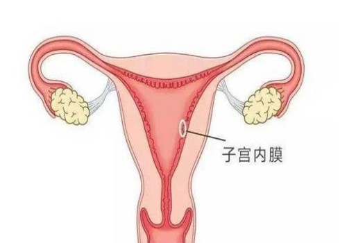 2023烟台山医院试管婴儿实用操作指引，附真实助孕成功经验
