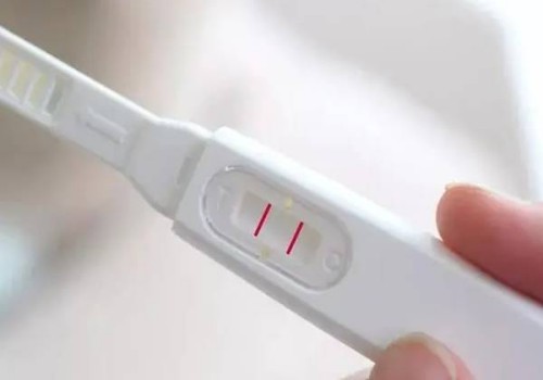 广州供卵试管：超详细的试管婴儿移植全流程分享，从开始到成功只需要五步