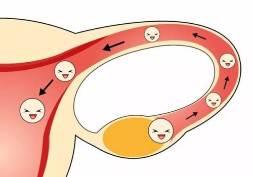 孕妈哺乳期饮食方面坚持这几个原则，满足每天营养摄入需求