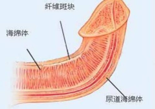 广州助孕公司：孕妇孕酮低有流产风险，这几种情况一定要及时治疗