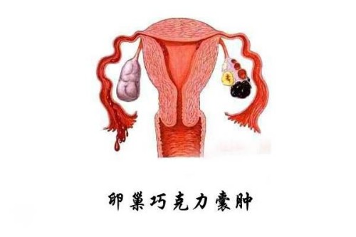 试管精卵不结合的情况很少见，或与这些因素有关