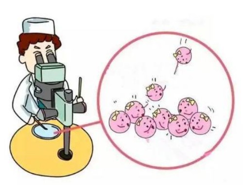 2023黄塘医院试管婴儿流程指南，助孕成功率预估
