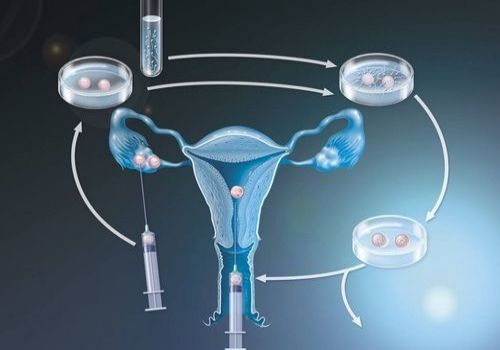 广州试管助孕公司：吃什么药促排容易受孕？促排期间吃这些东西明显有助于受孕