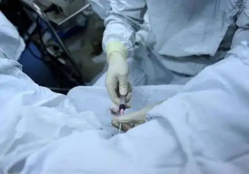 广州三代试管助孕：为什么会出现夫妻都正常却怀不上孕-是基因不匹配吗-