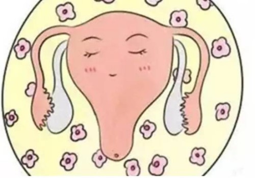 广州试管婴儿价格：试管冷冻胚胎移植，两个星期后为什么会有少量出血