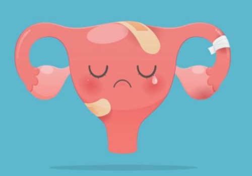 广州试管助孕公司：常见的子宫内膜薄的调理方式有哪些？