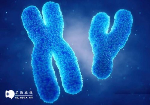 广州正规助孕机构：提高囊胚移植成功率，这三个方法不能忽视
